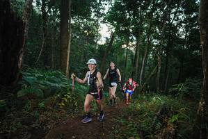 BIB: 
                            <button type="button" onclick="openModal(22427659)" class="btn btn-primary btn-sm float-right btn-popup" data-toggle="modal" data-target=".modal-high-quality">
                        <i class="fas fa-shopping-cart"></i> Add to Cart
                    </button>
                                            <button type="button" onclick="isThisMe(22427659, true)" class="btn btn-success btn-sm float-right btn-popup btn-isme hidden" data-toggle="tooltip" data-placement="bottom" title="นี่คือรูปของคุณใช่ไหม คลิกที่นี่เพื่อเอาเข้าอัลบั้ม">
                        <i class="fas fa-plus"></i> Add to album
                    </button>
                    <button type="button" onclick="isThisMe(22427659, false)" class="btn btn-warning btn-sm float-right btn-popup btn-isnotme hidden">
                        <i class="fas fa-ban"></i> Remove from album
                    </button>